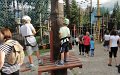 DSC03236 00